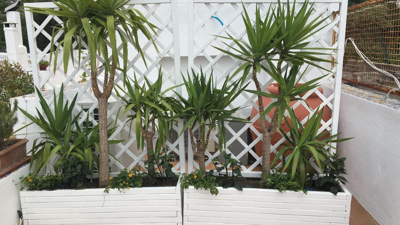 Ferienwohnung Panorama Da Cartolina Ischia Exterior foto