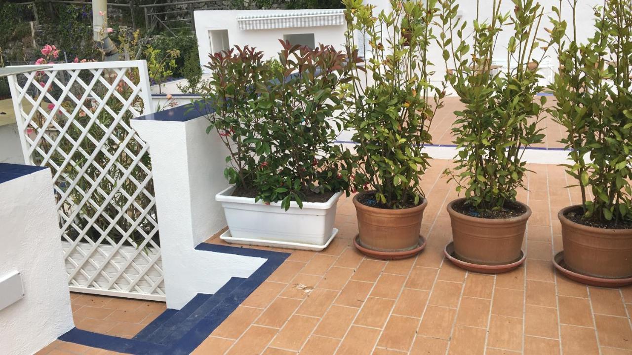 Ferienwohnung Panorama Da Cartolina Ischia Exterior foto