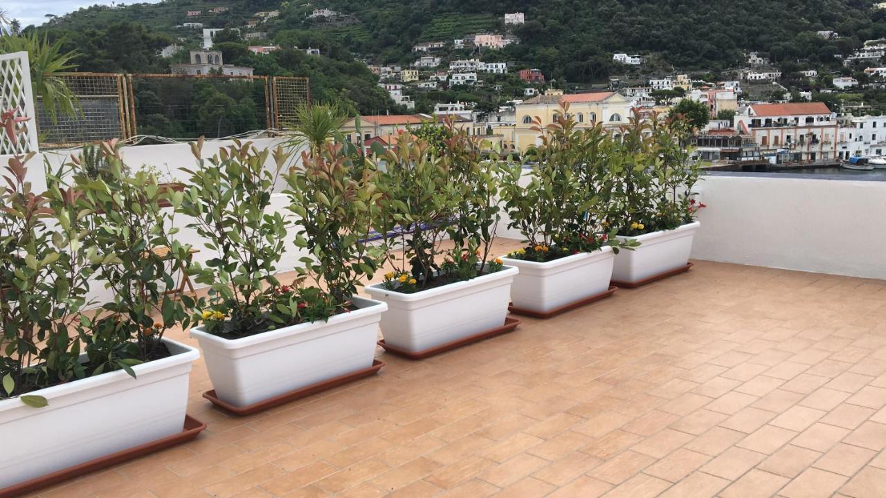 Ferienwohnung Panorama Da Cartolina Ischia Exterior foto